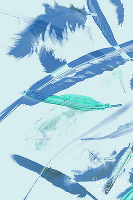 Natural Wall Art featuring the photograph Blue Toned Artistic Feather Abstract by Jorgo Photography