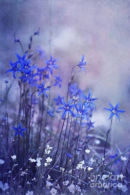 Bluebell and Wildflower Harmony Wall Art