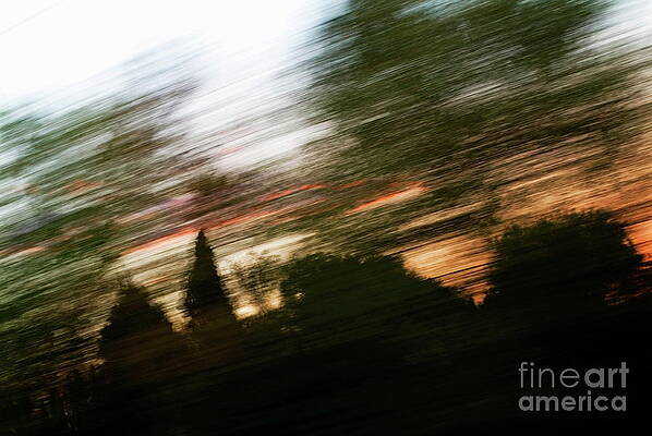 Cloud Photograph - Blurred View Of Clouds Behind Trees At Sunset by Sami Sarkis Photography
