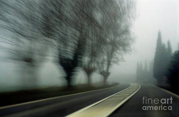 Tree Wall Art featuring the photograph Blurry Bare Trees Visible Through The Fog by Sami Sarkis Photography