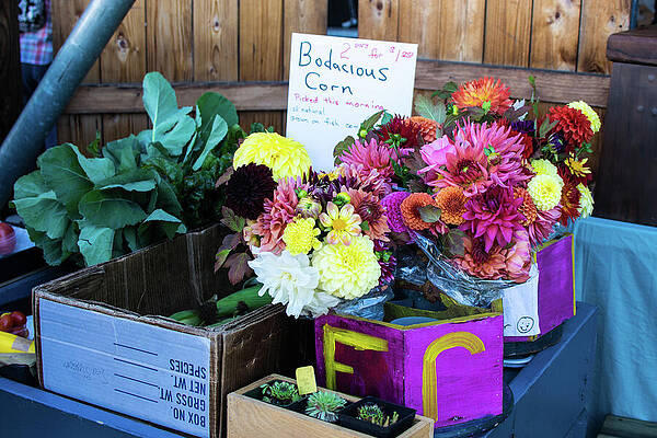 September Photograph - Bodacious Corn At Farmers' Market by Tom Cochran