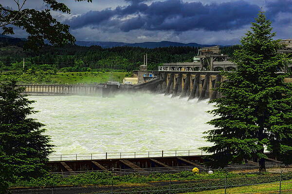 Spring Photograph - Bonneville Dam by Dale Kauzlaric