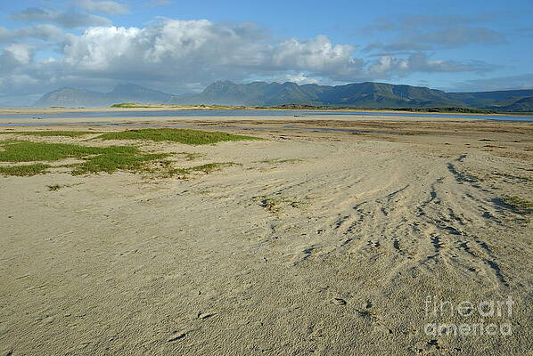 Outdoors Wall Art featuring the photograph Bottom Sand Of Flamingo Lake Estuary At Low Tide by Sami Sarkis Photography