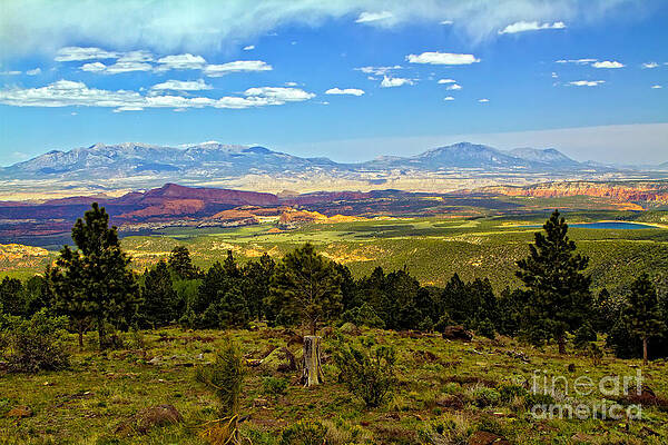 Wall Art featuring the photograph Boulder Mountain, Utah by Waterdancer