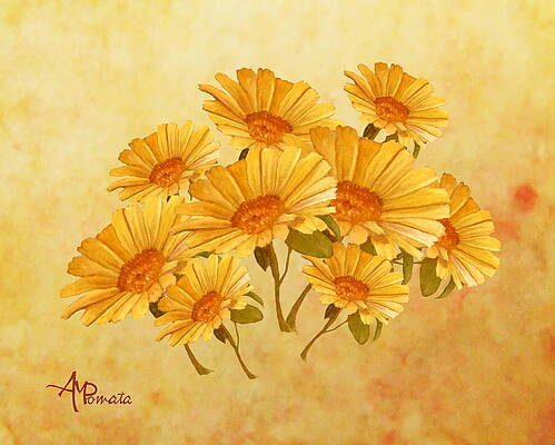 Mixed Media - Bouquet Of Daisies by Angeles M Pomata