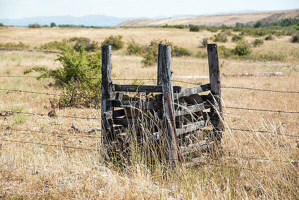 Wall Art featuring the photograph Box Of Rocks by Tom Cochran
