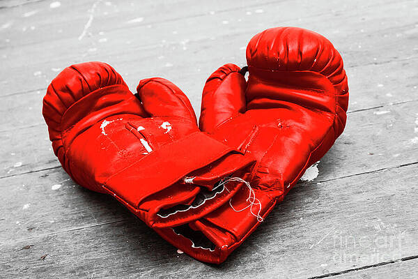 Wall Art featuring the photograph Boxer Still Life by Jorgo Photography