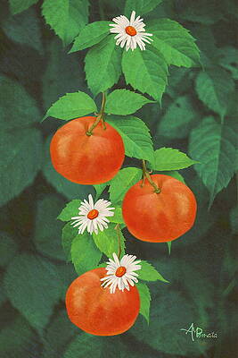 Mixed Media - Branch Of Mandarin Orange by Angeles M Pomata