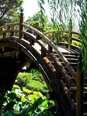 California Wall Art featuring the photograph Bridge Over A Pond by C Thomas Cooney