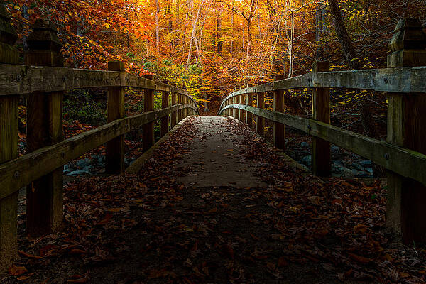 Photograph - Bridge To Enlightenment by Ed Clark