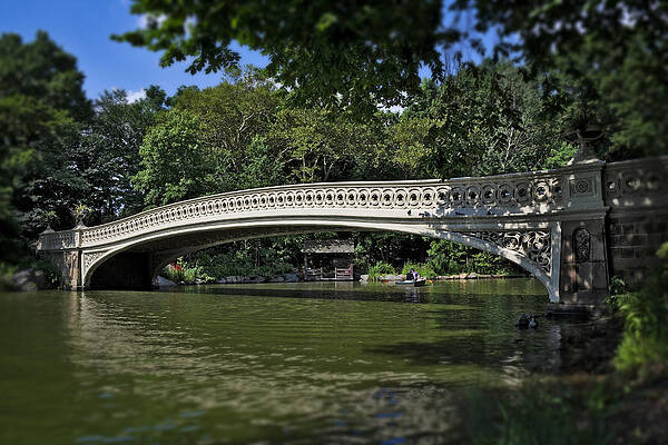 Green Wall Art featuring the photograph Bridgework by Kelley King