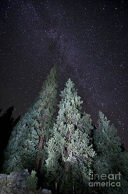 Photograph - Bright Night by Jeffrey Kolker