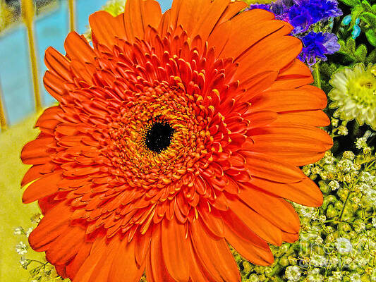 Flower Photograph - Brilliant Gerbera by Onedayoneimage Photography