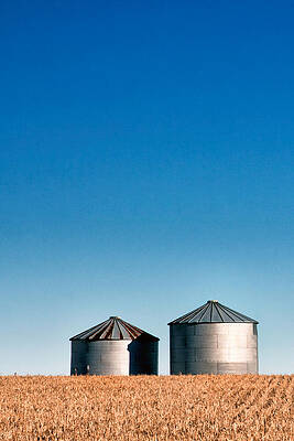 Sky Wall Art featuring the photograph Brothers by Nicholas Blackwell