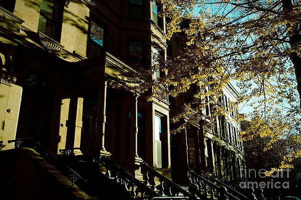 Tree Wall Art featuring the photograph Brownstones At Dusk by Onedayoneimage Photography