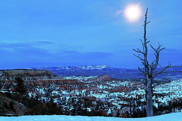 Sky Wall Art featuring the photograph Bryce Blue by Nicholas Blackwell