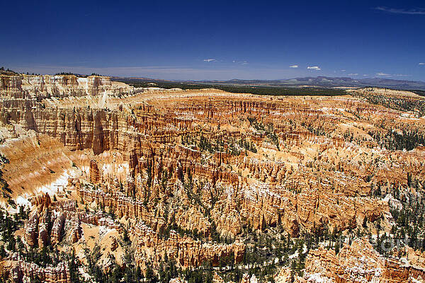 Wall Art featuring the photograph Bryce Canyon Hoodoos by Waterdancer