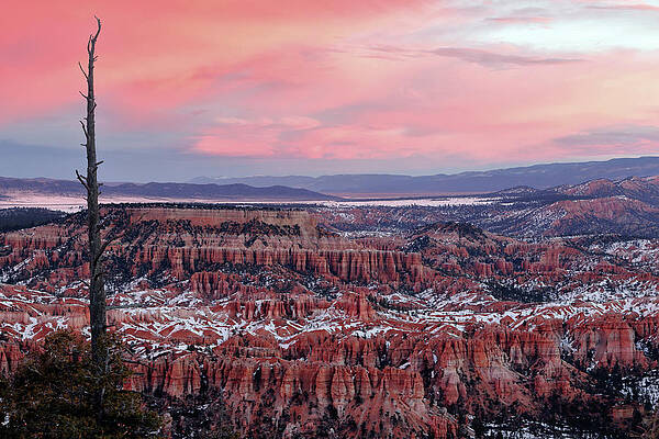 Sky Wall Art featuring the photograph Bryce Red by Nicholas Blackwell