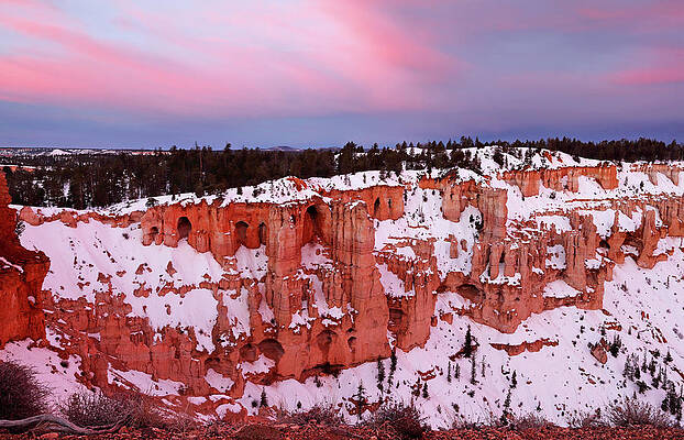 Sky Wall Art featuring the photograph Bryce Rose by Nicholas Blackwell