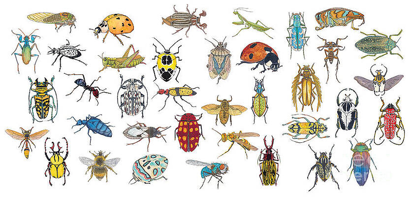 Wall Art featuring the painting The Bugz And The Beez by Marie Stone-van Vuuren