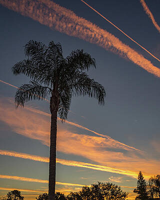 Sunrise Wall Art featuring the photograph Busy Sky by David Hart