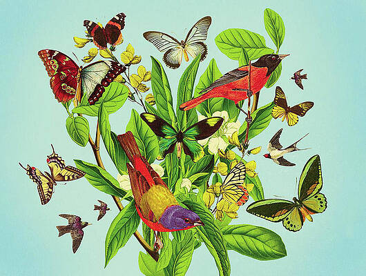 Wall Art featuring the drawing Butterflies And Birds On Plant And Flower Stem by Mark Weaver