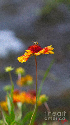 Wall Art featuring the photograph Buzzing Blissfully Methow Valley Flowers By Omashte by Omaste Witkowski