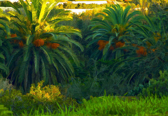 San Diego Wall Art featuring the digital art California Palms by Waterdancer