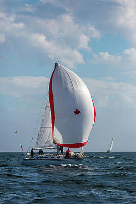 Wall Art featuring the photograph Canada Sail by Linda Ryma