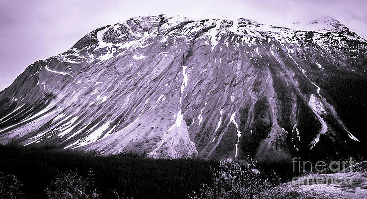 Wall Art featuring the photograph Canadian Rockies Alberta Canada Duo Tone by Blake Webster