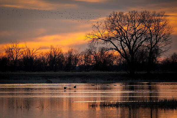 Missouri Wall Art featuring the photograph Canadians Under The Radar by Jeff Phillippi