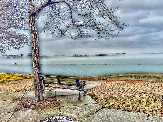Finger Lake Photograph - Canandaigua Lakeside Fog by William Norton