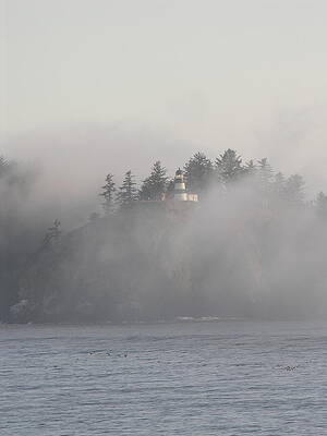 Washington Photograph - Cape Disappointment Light House In The Mist by C Thomas Cooney