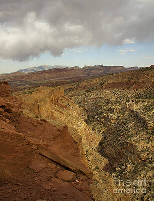 Wall Art featuring the photograph Capital Reef, Utah by Waterdancer