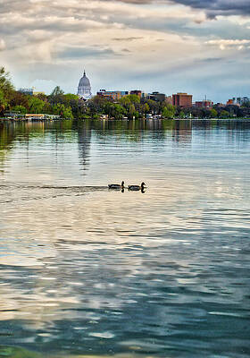 Reflection Photograph - Capitol -Madison-Wisconsin From Tenney Park by Steven Ralser
