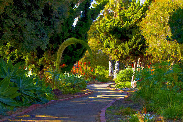 San Diego Wall Art featuring the digital art Cardiff Garden Trail by Waterdancer