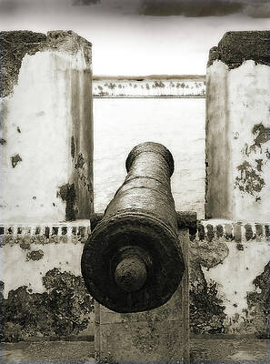 Historic Cannon Overlooking the Sea Photograph
