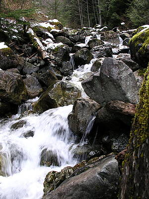 Washington Photograph - Cascading Creek by C Thomas Cooney