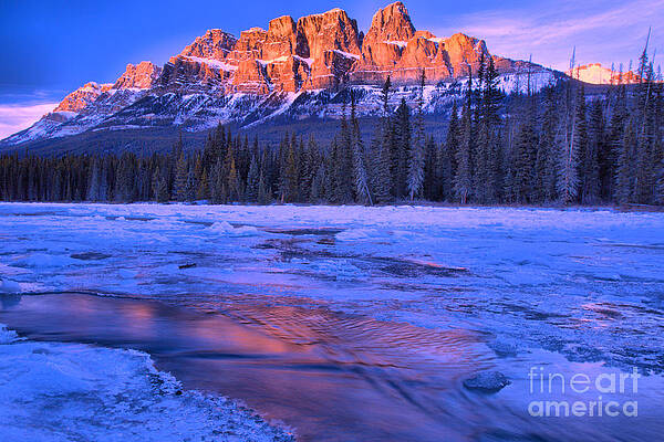 Mountain Wall Art featuring the photograph Castle Mountain Purple Refelctions by Adam Jewell