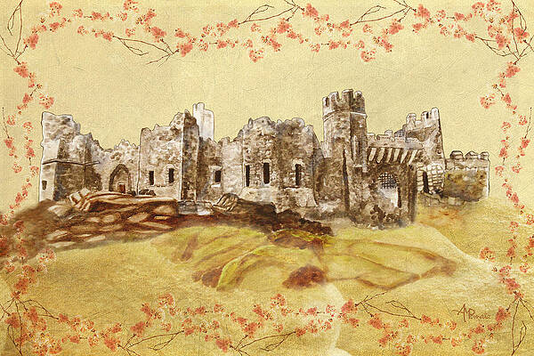 Mixed Media - Castle Ward Vintage by Angeles M Pomata