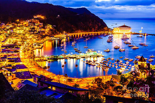 California Wall Art featuring the photograph Catalina Island Avalon Bay At Night by Paul Velgos