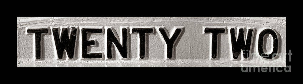 Wall Art featuring the photograph Catch by Olivier Le Queinec