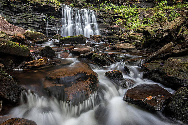 Beautiful Photograph - Cayuga by Todd Wilkinson