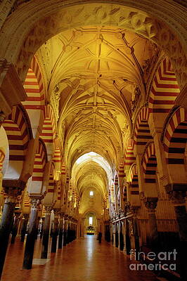 Wall Art featuring the photograph Ceilings Inside The Catedral De Cordoba by Sami Sarkis Photography