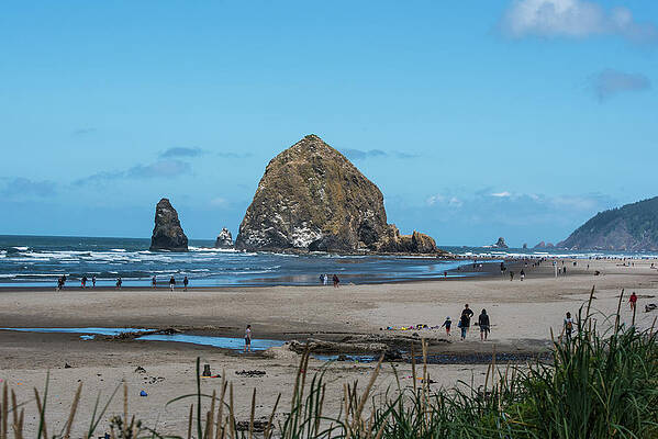 Oregon Wall Art featuring the photograph Cell Phones Are Necessary by Tom Cochran