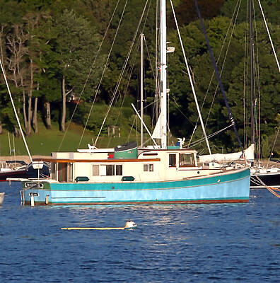 Wall Art featuring the photograph Challenge by Robert Newman