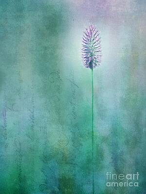 Minimalistic Single Blossom Wall Art