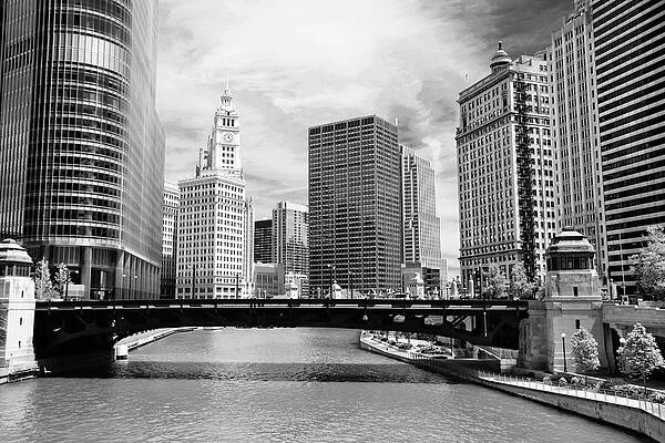 Illinois Wall Art featuring the photograph Chicago River Buildings Skyline by Paul Velgos
