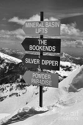 Ski Resort Trail Signage Photograph