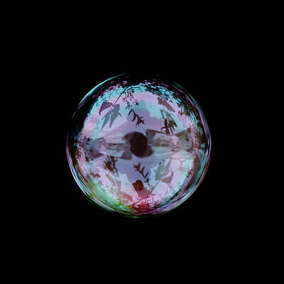 Wall Art featuring the photograph Christmas Bubble by Crystal Wightman